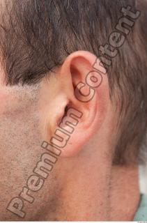 Ear texture of street references 393 0001